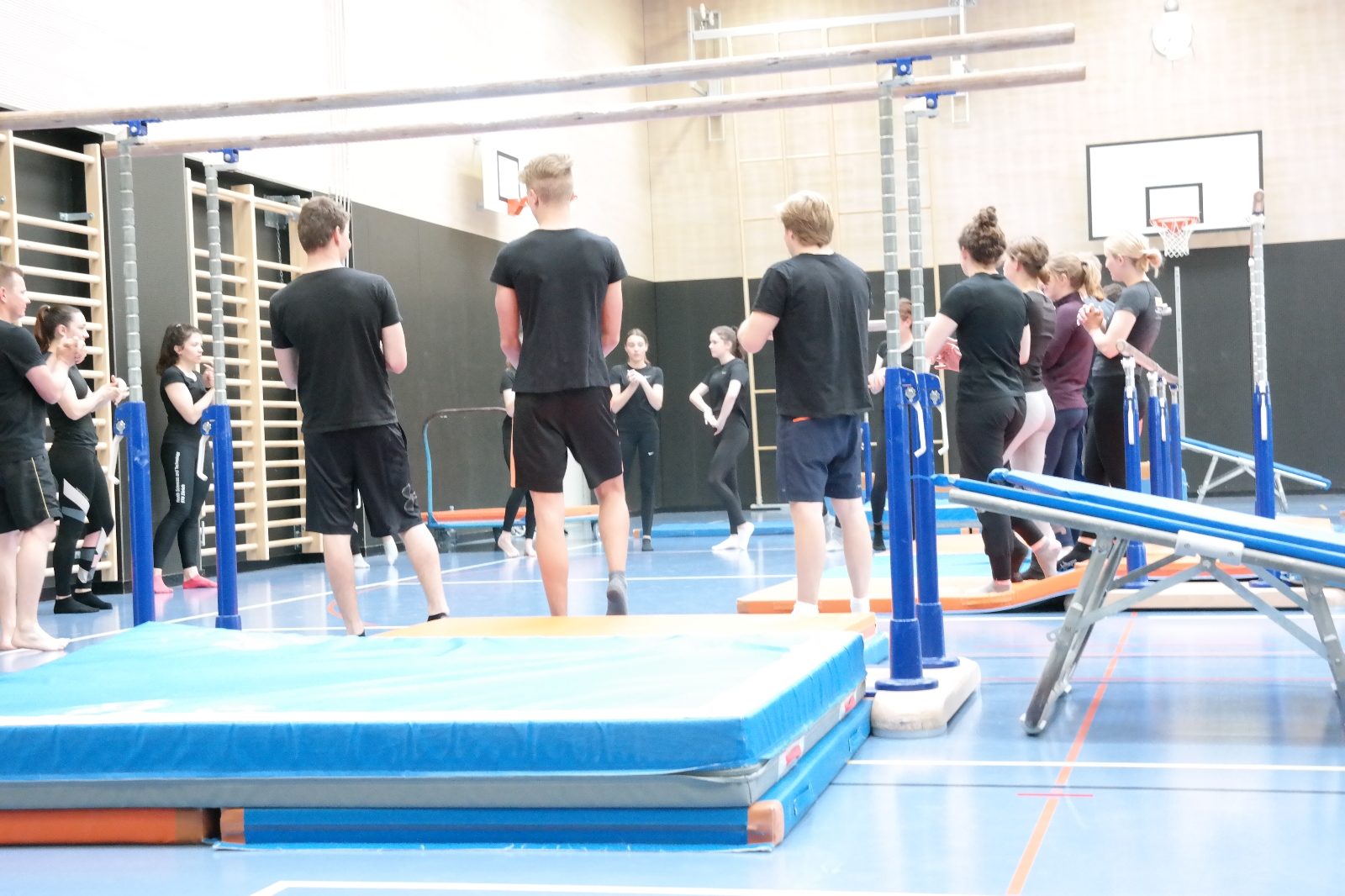 Bild1 (50)